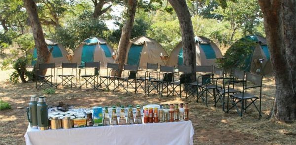 1 Day Chobe Camping Safari