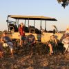 1 Day Chobe Camping Safari